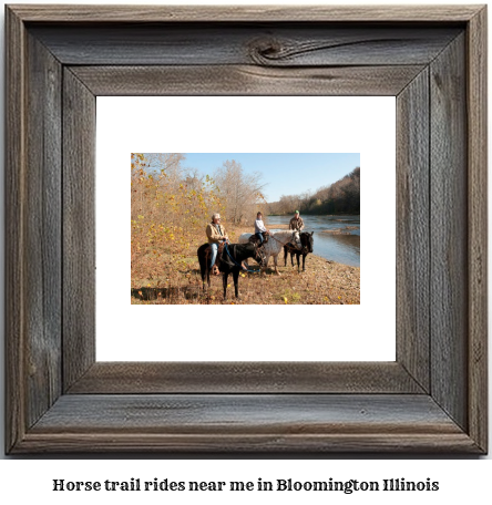 horse trail rides near me in Bloomington, Illinois